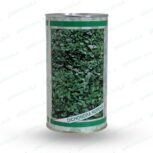 بذر شبدر دایکوندرا ، بذر شبدر گلدانی 09199762163