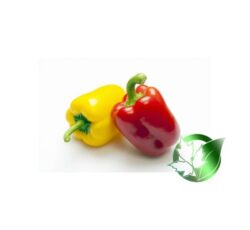 فلفل دلمه‌ای صادراتی پارسا فود