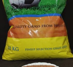 بذر چمن برموداگراس ، بذر چمن گرمسیری 09199762163