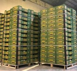 نبشی پلاستیکی ارزان