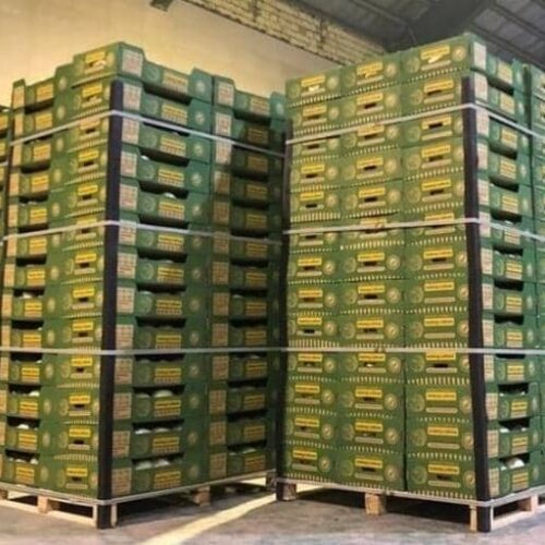 نبشی پلاستیکی ارزان