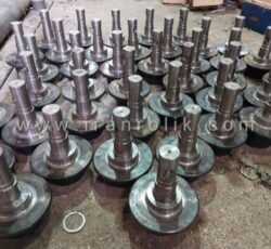 رولیک باند آموند