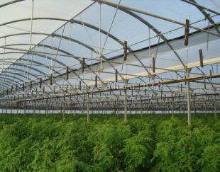 قیمت لوله گلخانه اصفهان