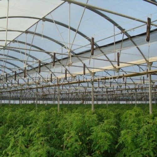 قیمت لوله گلخانه اصفهان