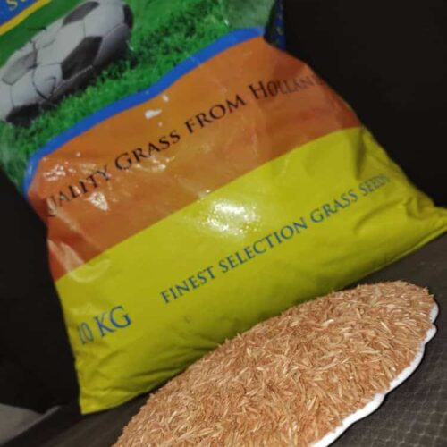 بذر چمن برموداگراس ، تخم چمن آفریقایی 09199762163