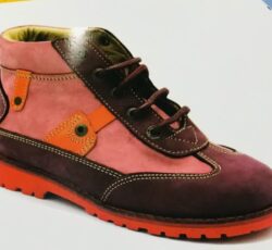 ارتوپدفنی ونک