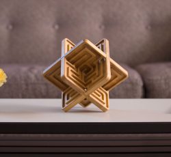 فروش مالکیت  اسباب بازی پیچراهه چند وجهی (ماز (Maze) چند ضلعی)