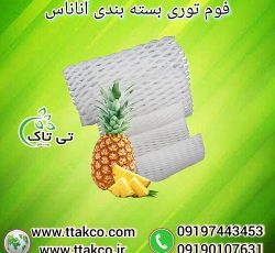 فوم توری آناناس ، فوم آناناس ، فوم میوه و ظروف