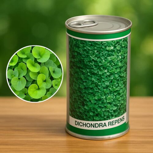 رطوبت ساز گلخانه ای ، مه پاش گلخانه ای 09199762163