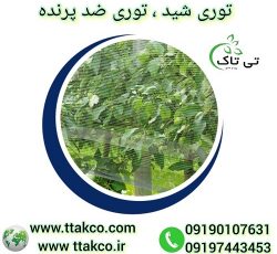 توری ضد پرنده ، توری شید ، توری محافظ درختان
