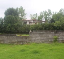 ⚜ فروش زمین 300متری در جاده دوهزار تنکابن⚜