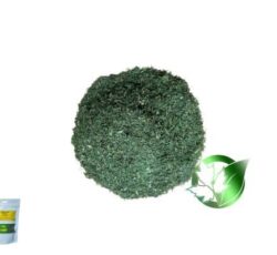 شوید خشک صادراتی.شوید خشک فله پارسافود