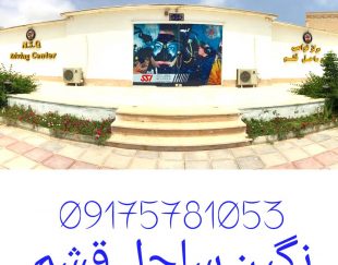 موسسه غواصی نگین ساحل قشم