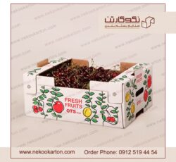تولید انواع کارتن صادراتی میوه