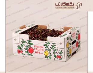 تولید انواع کارتن صادراتی میوه