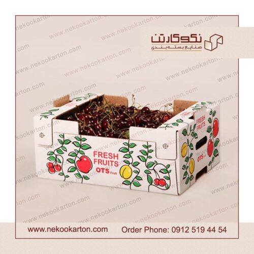 تولید انواع کارتن صادراتی میوه