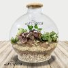 فروشگاه اینترنتی گل و گیاه