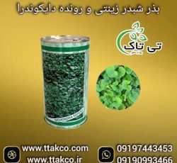 فروش بذر شبدر زینتی رونده دایکوندرا 09197443453