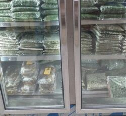 سبزی آماده کرمانشاه ،سبزی خشک ، سبزی خورشتی،سبزی آش،سبزی دلمه