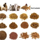 خط تولید غذای سگ و گربه خانگی