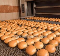 فر تونلی پخت نان حجیم