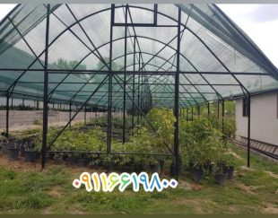 عرضه انواع توری های سایبان