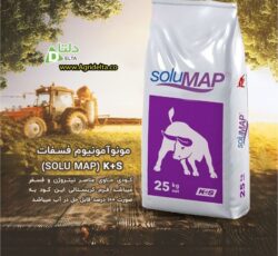 (SOLU MAP) k+s مونوآمونیوم فسفات