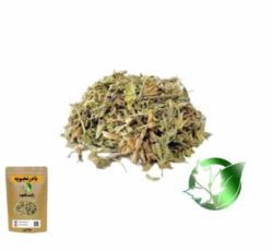 بادرنجبویه صادراتی. بادرنجبویه فله  پارسافود