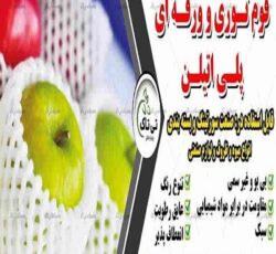 فوم انار ، فوم توری ، فوم میوه ، فوم خربزه