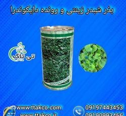 بذر شبدر رونده | قیمت بذر شبدر زینتی رونده 09197443453