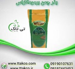 بذر چمن برموداگراس آفریقایی 4 تخم