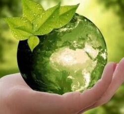 محصولات سلامت محور