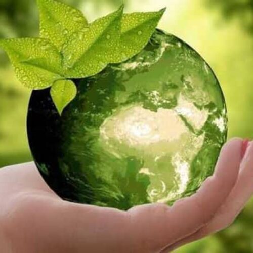 محصولات سلامت محور