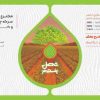 سرکه چوب