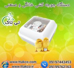 فروش انواع دستگاه جوجه کشی خانگی و صنعتی