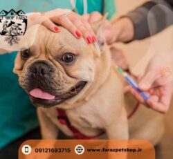 واکسیناسیون حیوانات