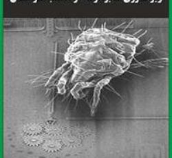 کتاب ریزفناوری (دکتر افشین رشید)