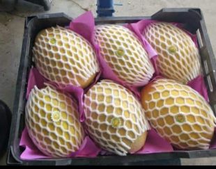 فوم انار و خربزه ، فوم بسته بندی میوه 09199762163