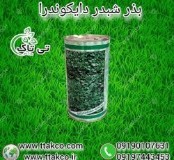 خرید و قیمت بذر شبدر زینتی دایکوندرا