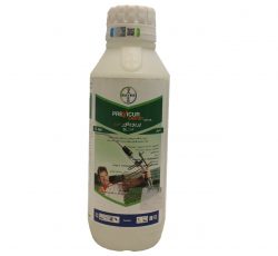 واردات از ترکیه