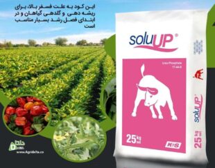 اوره فسفات کا پلاس اس ® soluUP