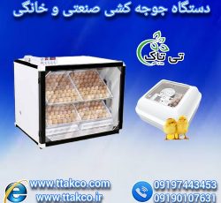 تولید کننده انواع دستگاه جوجه کشی صنعتی و خانگی