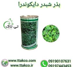 قیمت و خرید بذر شبدر زینتی دایکوندرا (ایتالیایی)