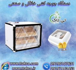 دستگاه جوجه کشی صنعتی و خانگی در ظرفیت های مختلف