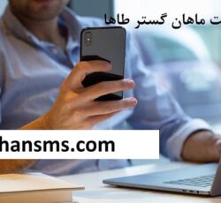 ارائه پنل پیامکی