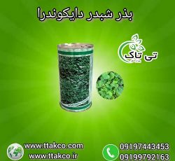 بذر چمن | بذر دایکوندرا | بذر شبدر | بذر زینتی