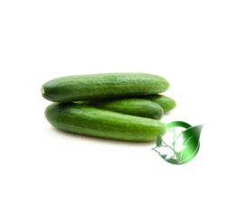 خیار صادراتی پارسا فود