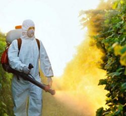 شرکت سمپاشی ایرانیان