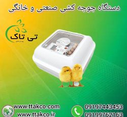 دستگاه جوجه کشی خانگی | دستگاه جوجه کشی صنعتی