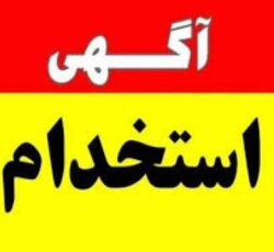 استخدام خانم کار با گوشی یا کامپیوتر در منزل سراسر کشور